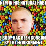 CRAAZY MNMS | EMINEM IN HIS NATURAL HABITAT; HIS BODY HAS BEEN CONSUMED BY THE ENVIRONMENT | image tagged in eminem,eminem funny | made w/ Imgflip meme maker