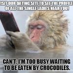 monkey mobile phone | VISIT OUR DATING SITE TO SEE THE PROFILES OF ALL THE SINGLE LADIES NEAR YOU! CAN'T. I'M TOO BUSY WAITING TO BE EATEN BY CROCODILES. | image tagged in monkey mobile phone | made w/ Imgflip meme maker