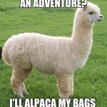 Alpaca my bags | AN ADVENTURE? I'LL ALPACA MY BAGS | image tagged in alpaca my bags | made w/ Imgflip meme maker
