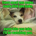 Dog hiding under a blanket | Every meal you make, every dish you bake, every bite you take, I'll be watching you. | image tagged in dog hiding under a blanket | made w/ Imgflip meme maker