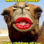 Slutty Camel | My boyfriends all say  "Who's your daddy?"; Their children all say     "Who's my daddy?" | image tagged in slut,who's your daddy | made w/ Imgflip meme maker