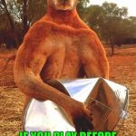 Kangaroo Crushing tin bucket | IF YOU PLAY BEFORE I SAY, I WILL TAKE YOUR INSTRUMENT AWAY. | image tagged in kangaroo crushing tin bucket | made w/ Imgflip meme maker