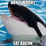 Free Willy 3  | DON'T WORRY; EAT BACON | image tagged in free willy 3 | made w/ Imgflip meme maker