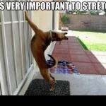 The Importance of Stretching