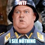 WTF | WTF; I SEE NOTHING | image tagged in wtf | made w/ Imgflip meme maker