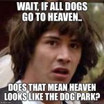 keanu Reeves  | WAIT, IF ALL DOGS GO TO HEAVEN.. DOES THAT MEAN HEAVEN LOOKS LIKE THE DOG PARK? | image tagged in keanu reeves | made w/ Imgflip meme maker