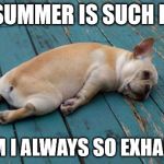 Exhausted  | IF SUMMER IS SUCH FUN; WHY AM I ALWAYS SO EXHAUSTED? | image tagged in exhausted | made w/ Imgflip meme maker