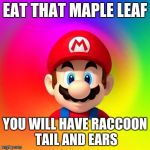 Eat that maple leaf, you will have raccoon tail and ears | EAT THAT MAPLE LEAF; YOU WILL HAVE RACCOON TAIL AND EARS | image tagged in mario says,super mario | made w/ Imgflip meme maker