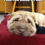 Sad Happy Dog | WHEN YOGI CLAIRE SAYS "TIME FOR CHILD'S POSE" | image tagged in sad happy dog | made w/ Imgflip meme maker