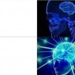 2 level brain meme