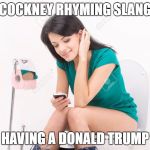 Pretty Girl On Toilet | COCKNEY RHYMING SLANG; HAVING A DONALD TRUMP | image tagged in pretty girl on toilet | made w/ Imgflip meme maker