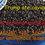 Trump eats caviar; Kibs demand investigation
 | Trump ate caviar... Liberals demand investigation! CNN, MSNBC, NBC, NYT looking for anonymous leakers | image tagged in caviar,donald trump,liberals | made w/ Imgflip meme maker