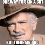 Some words from Uncle Jed | THERE'S MORE THAN ONE WAY TO SKIN A CAT; BUT THERE AIN'T NO WAY TO MAKE HIM LIKE IT | image tagged in jed clampett doggy,memes | made w/ Imgflip meme maker