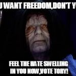 Palpatine | YOU WANT FREEDOM,DON'T YOU! FEEL THE HATE SWELLING IN YOU NOW,VOTE TORY! | image tagged in palpatine | made w/ Imgflip meme maker