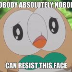 Sad face | NOBODY ABSOLUTELY NOBODY; CAN RESIST THIS FACE | image tagged in sad face | made w/ Imgflip meme maker