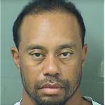 Tiger Woods Mug Shot 