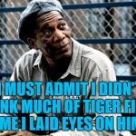 Tiger Woods has been arrested for DUI | I MUST ADMIT I DIDN'T THINK MUCH OF TIGER FIRST TIME I LAID EYES ON HIM... | image tagged in memes,tiger woods,morgan freeman,dui,sport,shawshank redemption | made w/ Imgflip meme maker