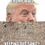 Trump Wall | THE REAL TRUMP WALL. KEEPING OUT SANITY, REASON AND MATURITY. | image tagged in trump wall | made w/ Imgflip meme maker