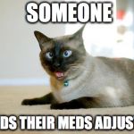 Cat meds | SOMEONE; NEEDS THEIR MEDS ADJUSTED | image tagged in cat meds | made w/ Imgflip meme maker