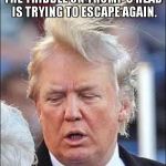 Trump Hair | THE TRIBBLE ON TRUMP'S HEAD IS TRYING TO ESCAPE AGAIN. | image tagged in trump hair | made w/ Imgflip meme maker