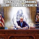 trump jesus | LOOKS LIKE THE SHROOMS TRUMP TOOK ARE KICKING IN... | image tagged in trump jesus | made w/ Imgflip meme maker