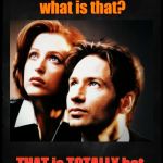 Mulder and Scully gaze to whatever,,, | Wow Mulder, what is that? THAT is TOTALLY hot,,, | image tagged in mulder and scully gaze to whatever   | made w/ Imgflip meme maker