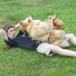 Chickens on guy