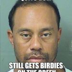 high times | QUITS GOLF; STILL GETS BIRDIES ON THE GREEN | image tagged in tiger woods,golf,birdie,green,drugs,drunk | made w/ Imgflip meme maker