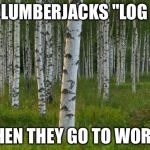 birch trees | DO LUMBERJACKS "LOG IN"; WHEN THEY GO TO WORK? | image tagged in birch trees | made w/ Imgflip meme maker