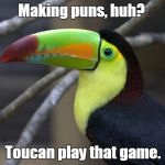 Hard Toucan | Making puns, huh? Toucan play that game. | image tagged in hard toucan | made w/ Imgflip meme maker