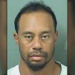 Tiger Woods DUI