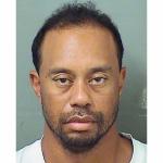 Tiger Woods Mug Shot