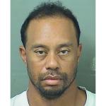 Tiger Woods Mugs Shot meme