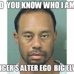 Tiger Woods Mugs Shot | DO  YOU KNOW WHO I AM? I 'M TIGER'S ALTER EGO  BIG ELWOOD | image tagged in tiger woods mugs shot | made w/ Imgflip meme maker