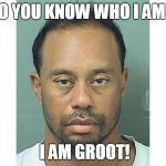 Tiger Woods Mugs Shot | DO YOU KNOW WHO I AM ? I AM GROOT! | image tagged in tiger woods mugs shot | made w/ Imgflip meme maker