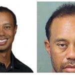 Tiger Woods Side by Side meme