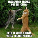 Cat Fight | FREE SPEECH BREAKS OUT ON 


GAB.AI; OVER UP VOTES & DOWN VOTES

 HILARITY ENSUES | image tagged in cat fight | made w/ Imgflip meme maker