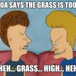 Beavis-and-Butthead | THE HOA SAYS THE GRASS IS TOO HIGH; HEH HEH... GRASS... HIGH... HEH HEH | image tagged in beavis-and-butthead | made w/ Imgflip meme maker