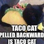 Taco Cat spelled backwards is...... | TACO CAT; SPELLED BACKWARDS IS TACO CAT | image tagged in taco cat - tac ocat,taco cat meme,meme a bow wow meow,can you see the light,anagram solver,wordsmith dot org | made w/ Imgflip meme maker