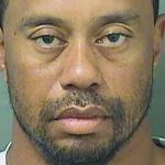 Tiger Woods mugshot