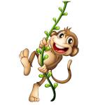 monkey vine