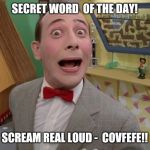 Peewee Herman secret word of the day | SECRET WORD 
OF THE DAY! SCREAM REAL LOUD - 
COVFEFE!! | image tagged in peewee herman secret word of the day | made w/ Imgflip meme maker