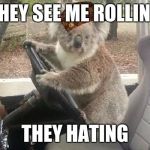 koala rolling | THEY SEE ME ROLLING; THEY HATING | image tagged in koala rolling,scumbag | made w/ Imgflip meme maker