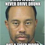 Tiger Woods Mug Shot  | A LION WOULD NEVER DRIVE DRUNK; BUT A TIGER WOOD | image tagged in tiger woods mug shot | made w/ Imgflip meme maker