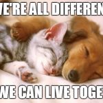 cats and dogs sleeping together | WE'RE ALL DIFFERENT; BUT, WE CAN LIVE TOGETHER. | image tagged in cats and dogs sleeping together | made w/ Imgflip meme maker