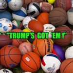sports balls | "TRUMP'S  GOT  'EM !" | image tagged in sports balls | made w/ Imgflip meme maker