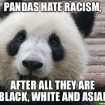 Happy Panda | PANDAS HATE RACISM, AFTER ALL THEY ARE BLACK, WHITE AND ASIAN | image tagged in happy panda | made w/ Imgflip meme maker