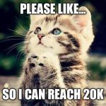 Cat Begging | PLEASE LIKE... SO I CAN REACH 20K | image tagged in cat begging | made w/ Imgflip meme maker