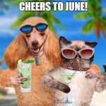 Cat and Dog Sipping Cocktails | CHEERS TO JUNE! | image tagged in cat and dog sipping cocktails | made w/ Imgflip meme maker