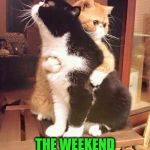 cats hugging | DON' T WORRY BRO,  ITS  GOING  TO  BE  OK, THE WEEKEND IS FINALLY OVER | image tagged in cats hugging | made w/ Imgflip meme maker